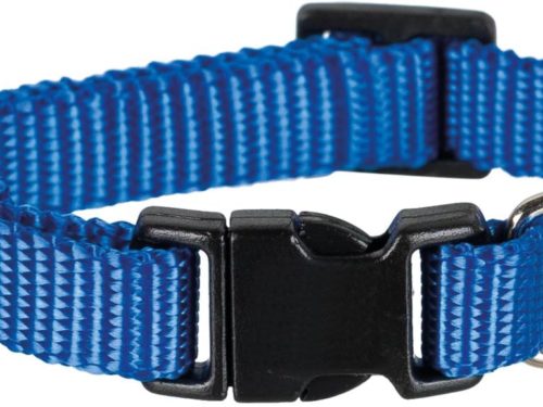 Robustes Halsband mit extra starkem Gurt stufenlos verstellbar Technische Daten: Farbe: blau Maße: 35 - 55 cm x 20 mm Material: Nylon