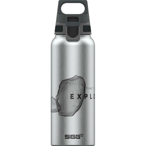 SIGG WMB Traveller Trinkflasche mit Motiv, 1000ml, Stein