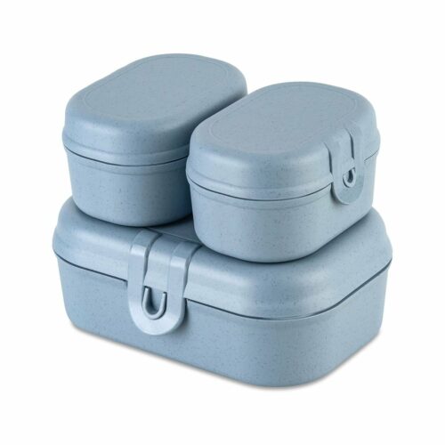 Koziol Pascal Ready mini Lunchbox-Set, 3-teilig, nature flower blau