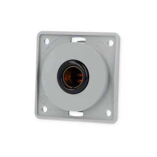 Berker Integro Flow/Pure Steckdose, 12V, grau