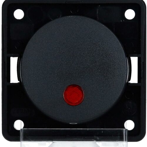 Berker Integro Flow/Pure Kontroll-Ausschalter, beleuchtet, 12V, anthrazit