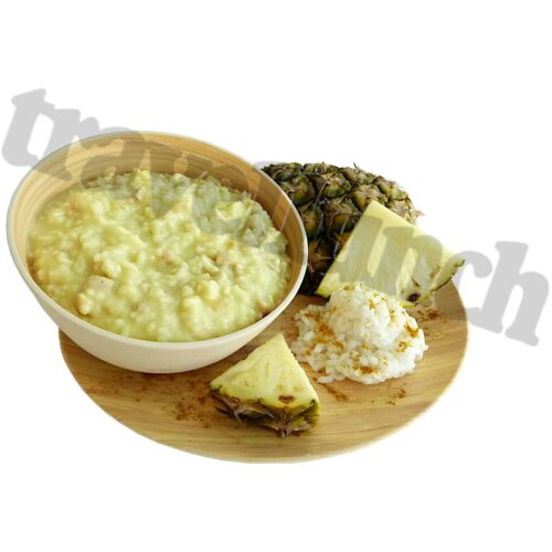 Travellunch Mahlzeit, Huhn in Curryrahm, 10x250g