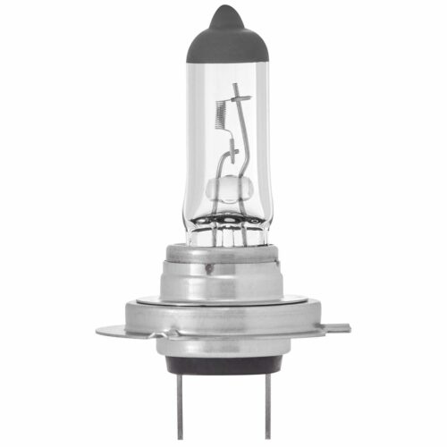 Ring Halogen Glühlampe, 12V, 55W, H7/Px26d