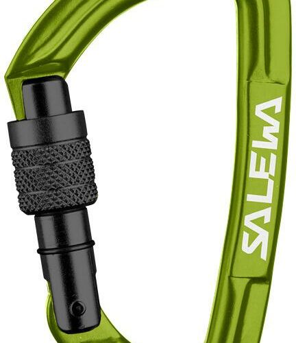 Salewa HOT G3 Karabiner, Schraubverschluss, grün