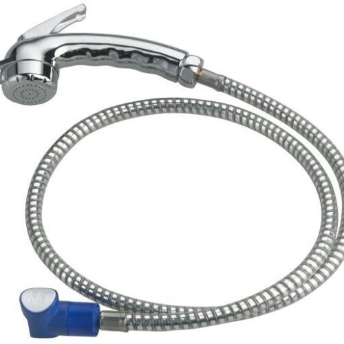 Reich Charisma Stellbrause mit Schlauch für Smart Supply, chrom