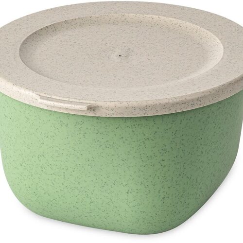 Koziol Connect Box mit Deckel, 1l, nature leaf green