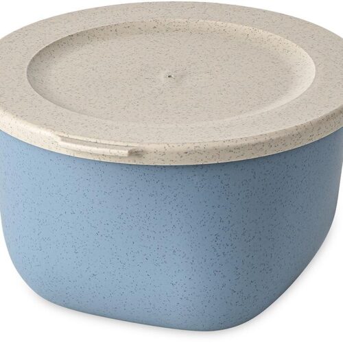 Koziol Connect Box mit Deckel, 1l, nature flower blue