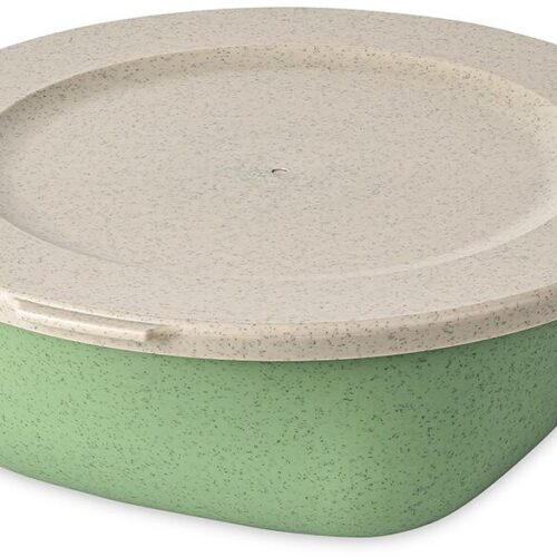 Koziol Connect Box mit Deckel, 1,3l, nature leaf green