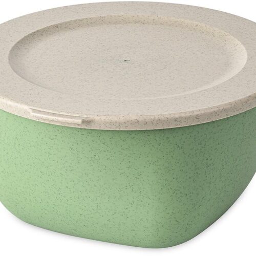 Koziol Connect Box mit Deckel, 2l, nature leaf green