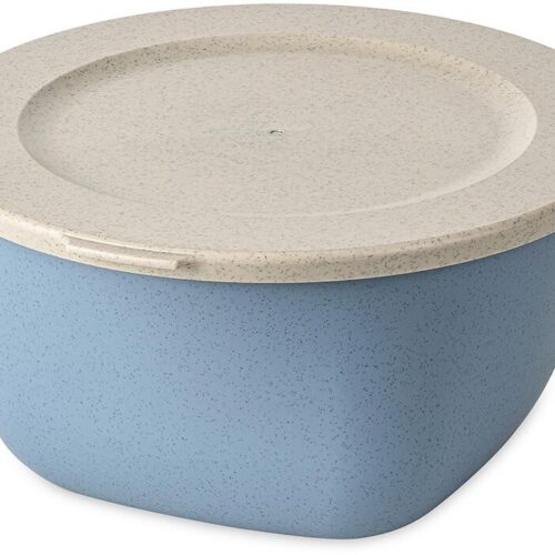 Koziol Connect Box mit Deckel, 2l, nature flower blue