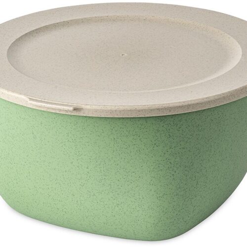 Koziol Connect Box mit Deckel, 4l, nature leaf green