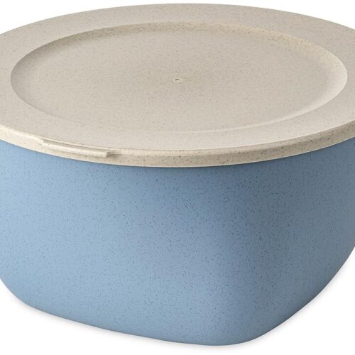 Koziol Connect Box mit Deckel, 4l, nature flower blue