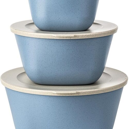 Koziol Connect Box mit Deckel, 3-teilig, 1/2/4l, nature flower blue