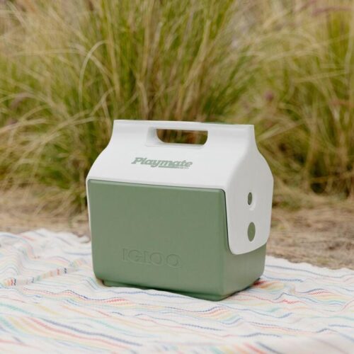 Igloo Ecocool Kühlbox Little Playmate Elite, 6L, grün