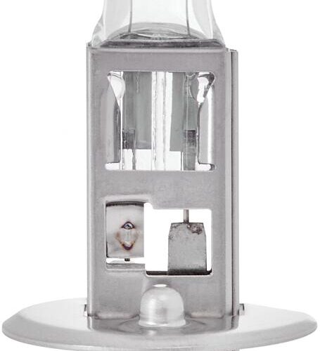 Ring H1 Premium Glühlampe, 12V, 55W