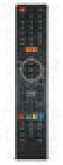 Fernbedienung - TenHaaft Ersatzteil Nr. 3.640.1116 - für Oyster TV