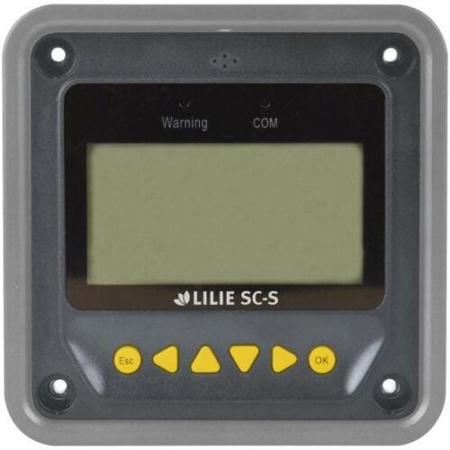 Lilie LCD-Batteriecomputer