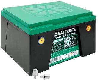 Saftkiste 300 LiFePO4-Batterie mit Bluetooth und DualBMS, 300Ah, 3.860Wh