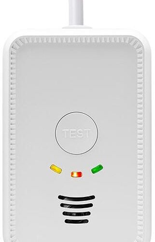 Carbest 2 in 1 LPG/CO Gaswarner, 12V