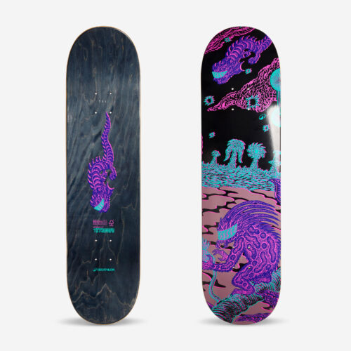 Skateboard-Deck Ahorn 8.25" - DK500 Popsicle mit Grafik von Tetsunori