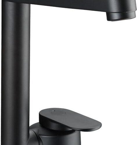 Reich Twister Einhebelmischer, Ø33mm, Tülle, matt schwarz