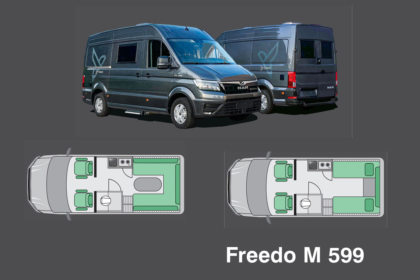 Freedo M 599 2025 (3) Freedo M 599 2025 (3)