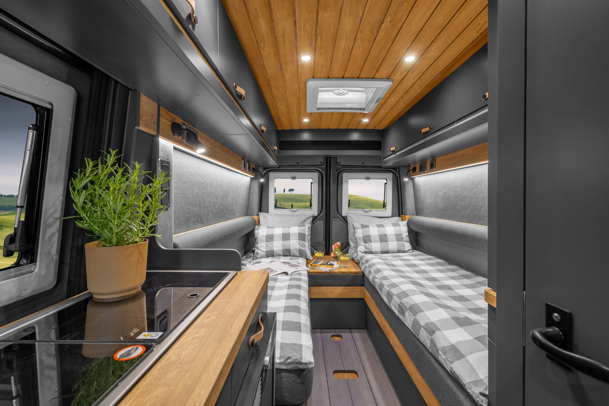 Freedo M 599 2025 (5) Freedo M 599 2025 (5)