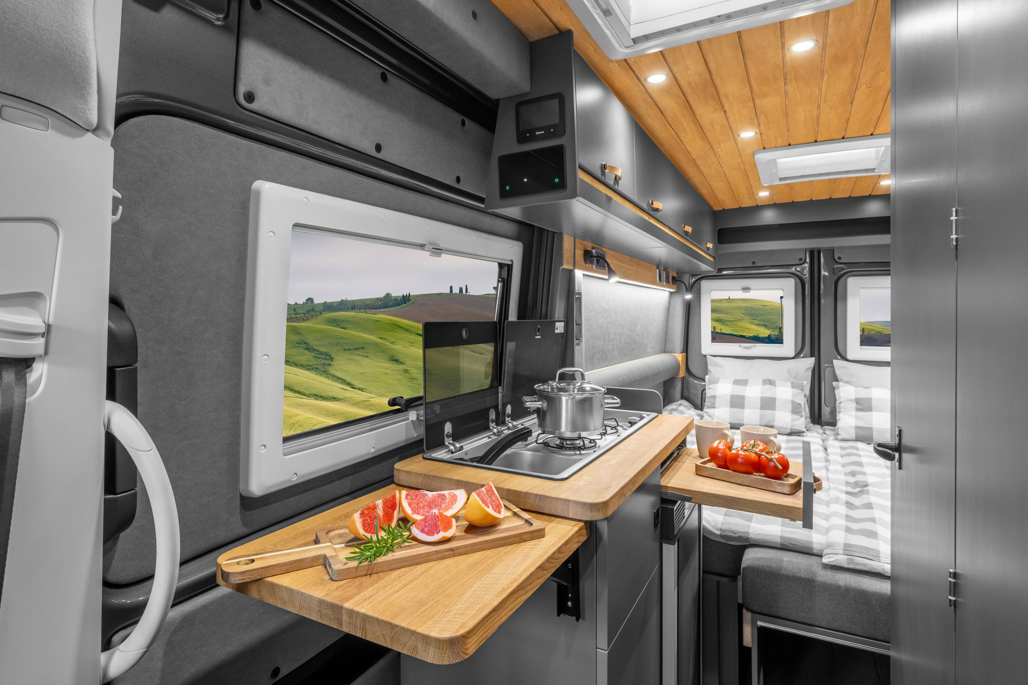 Freedo M 599 2025 (6) Freedo M 599 2025 (6)