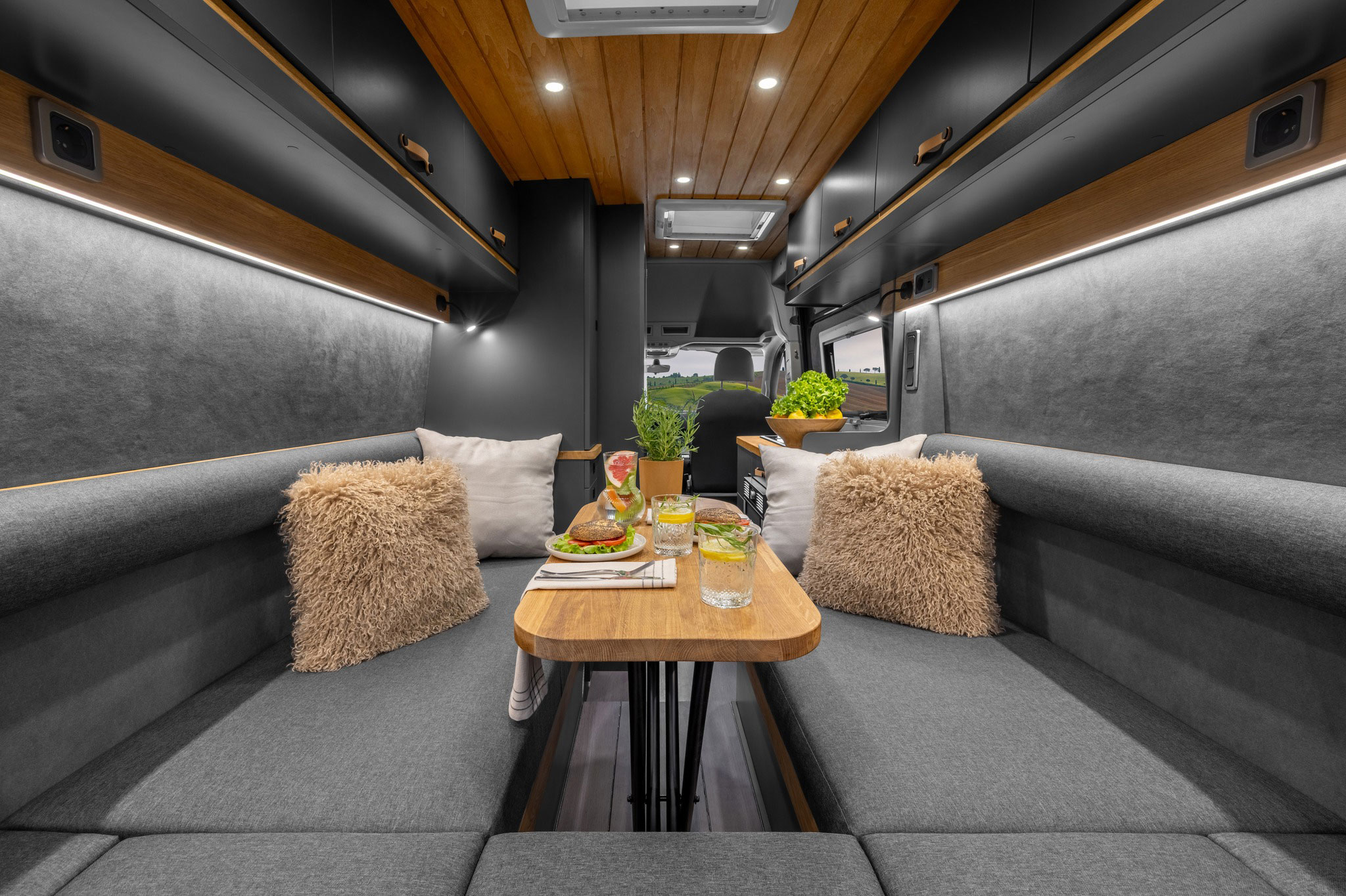 Freedo M 599 2025 (8) Freedo M 599 2025 (8)