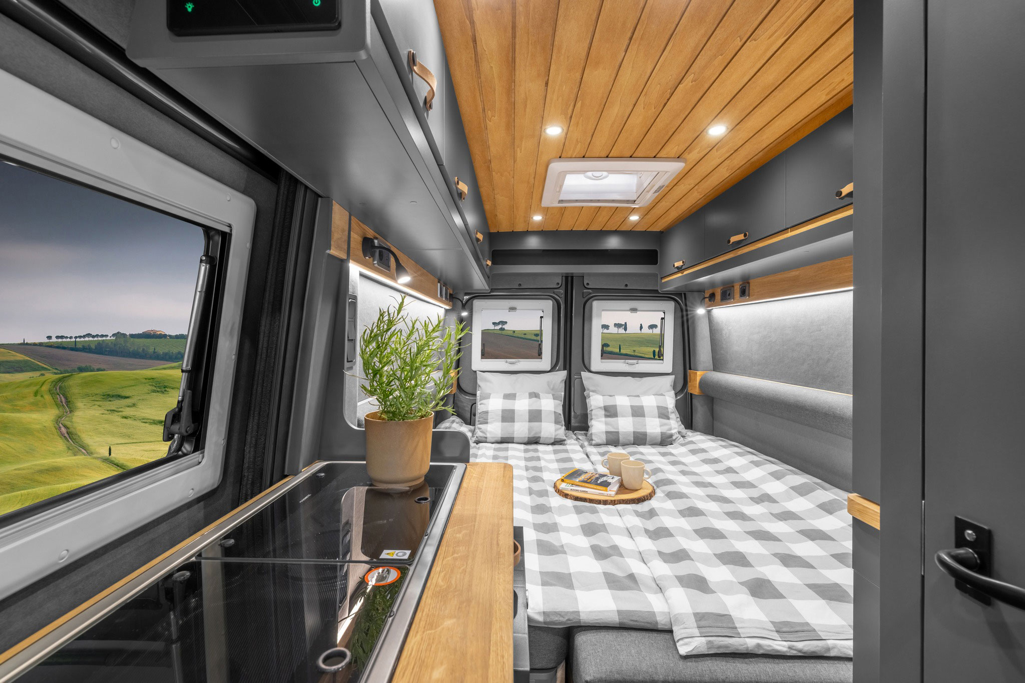 Freedo M 599 2025 (9) Freedo M 599 2025 (9)