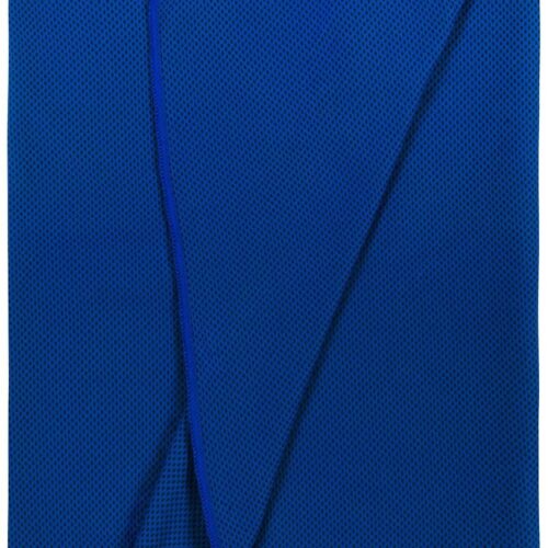 BasicNature Sport Handtuch, 30x100cm, blau