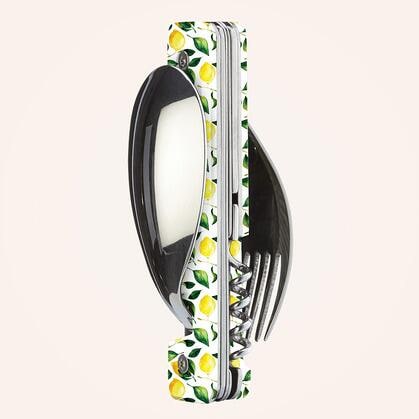 Akinod Multifunktionales Besteck 13h25, Zitronen