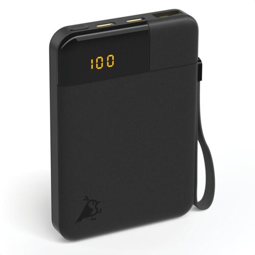 Aqiila Powerbird B5 Powerbank 12W schwarz 5.000 mAh