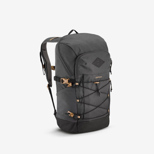 Wanderrucksack Wandern - Arpenaz 500 20 L grau