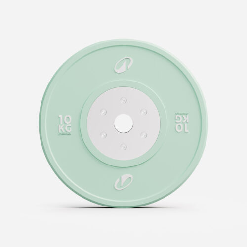 Hantelscheiben Bumper