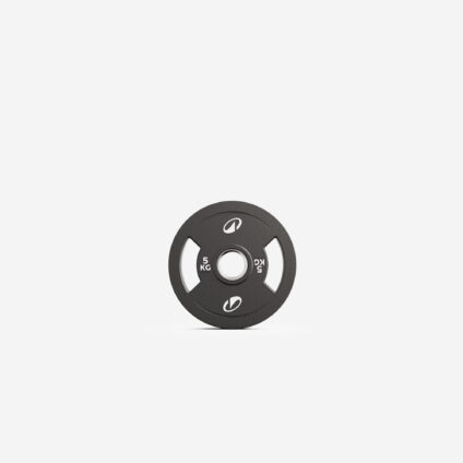 Hantelscheiben Bumper