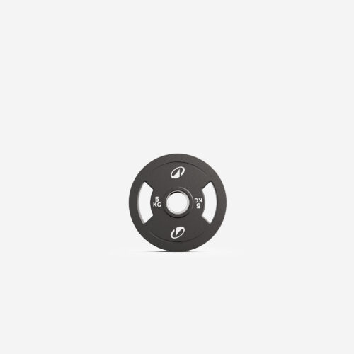 Hantelscheiben Bumper