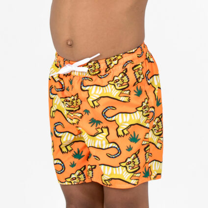 Boardshorts