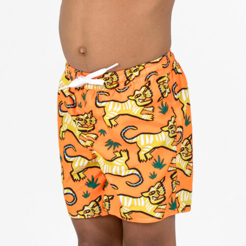 Boardshorts