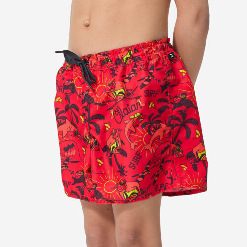 Boardshorts