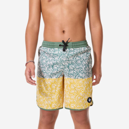 Boardshorts