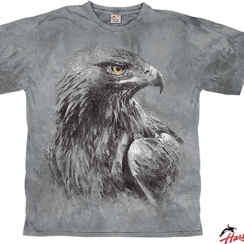 Harlequin Eagle Shadow T-Shirt dunkelgrau S - Herrenshirts, -hemden & -pullover