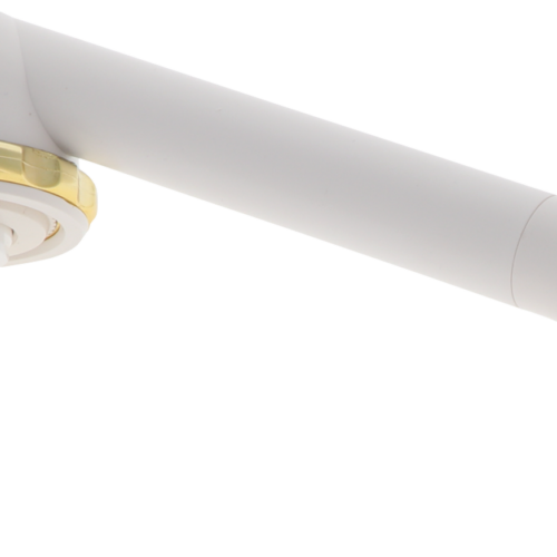 Barwig Handbrause Dusche Riva weiß-gold - Handbrausen