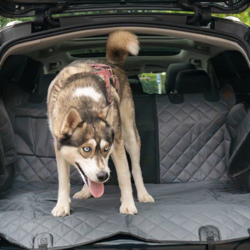 Berger DriveDry praktische Auto-Reisedecke für Hunde als Schutz - Hundetransportboxen und Autoschutz