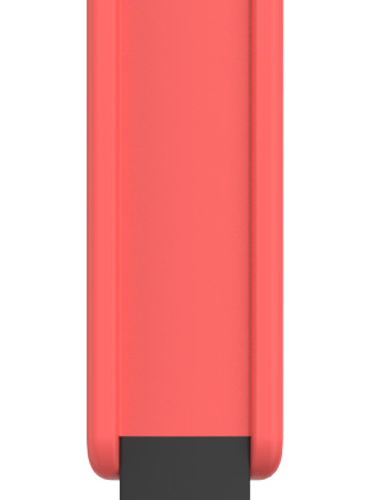 Mepal Chef It Backpinsel aus Polypropylen 22 cm hitzebeständig bis 250 °C coral - Kochbesteck