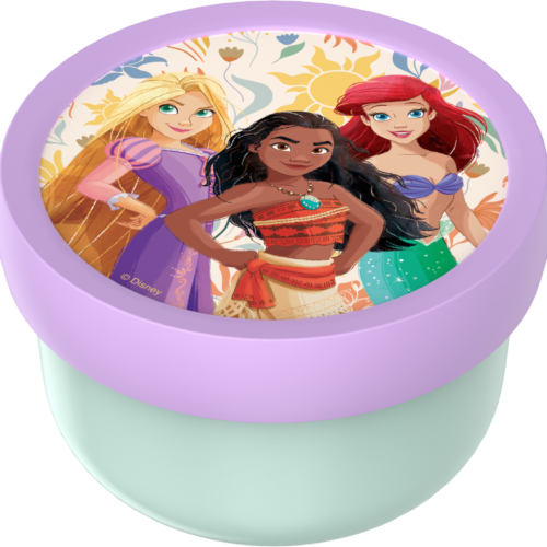Mepal Campus Fruchtbox mit Gabel aus Polypropylen und auslaufsicherem Verschluss 300 ml Princess Power - Lebensmittelbehälter / Vorratsdosen