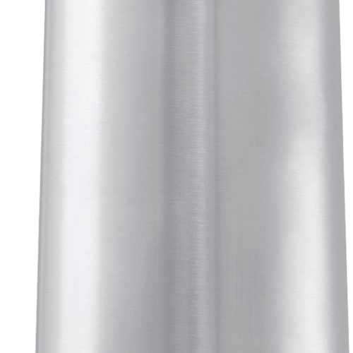 Esbit Pictor Edelstahl Isolierflasche Standard Mouth 550 ml silber - Isolierflaschen & Isobehälter
