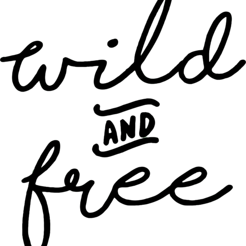 Advanture Shop Wild and Free Autoaufkleber 13,8 x 15 cm schwarz - Outdoor Zubehör