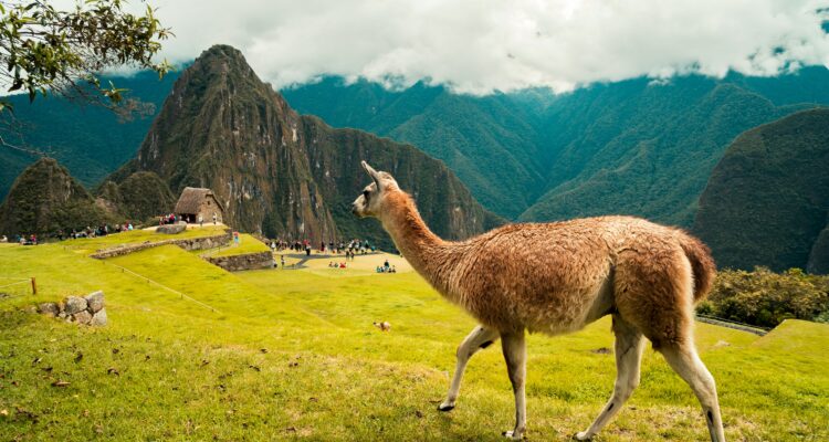 Peru